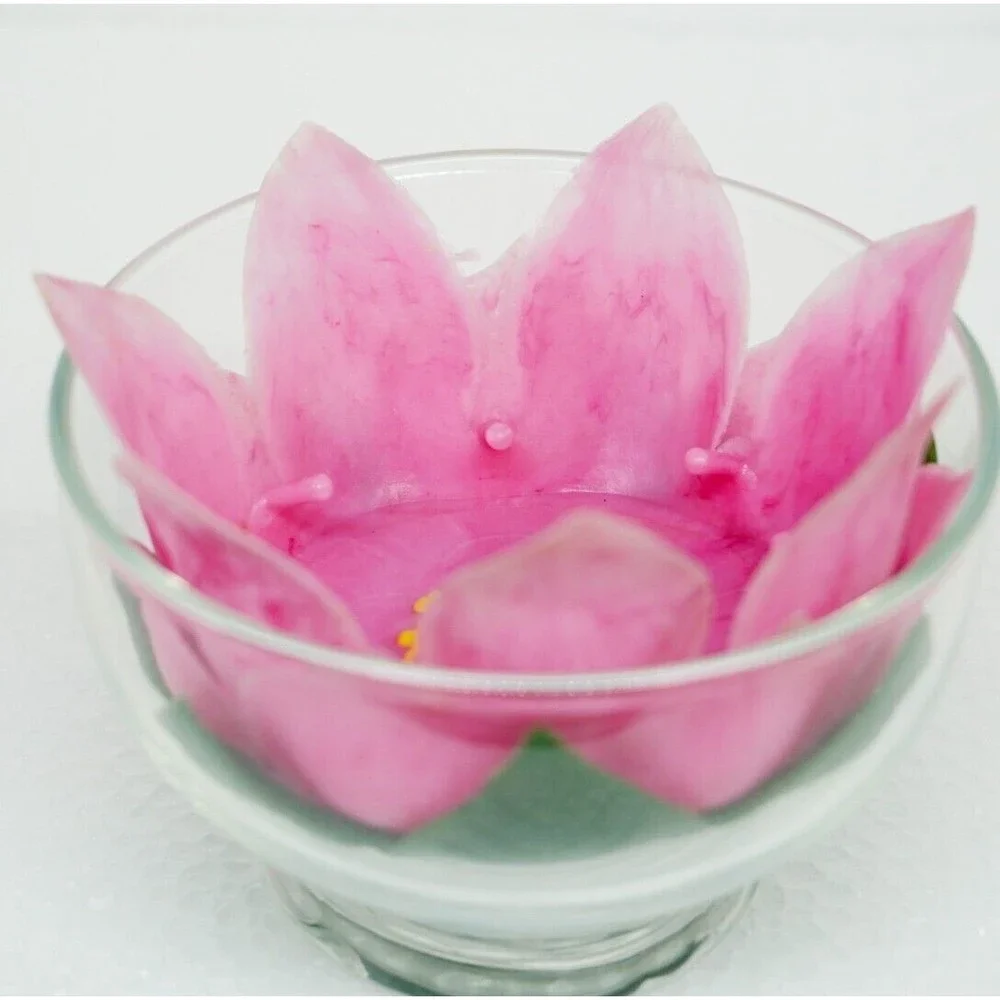 Rare Styson Decorative Plastic Lotus Coasters and 8oz Dessert Dishes 1961 MCM X2 - Picture 7 of 7
